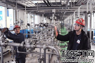 吉林石化合成树脂厂 优化工艺月节资两百万
